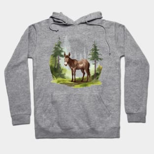 Little Donkey Hoodie